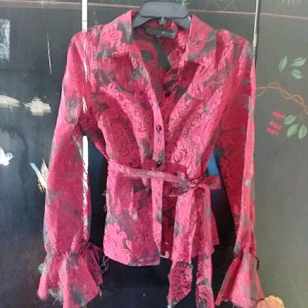 SheerSophisticated and Elegant shirt - Picture 2 of 8